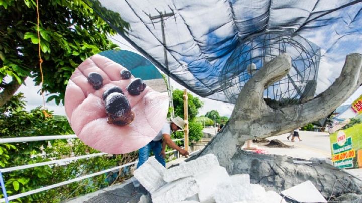 Tegogolos, comida típica de Catemaco a la que se rinde honor con monumento