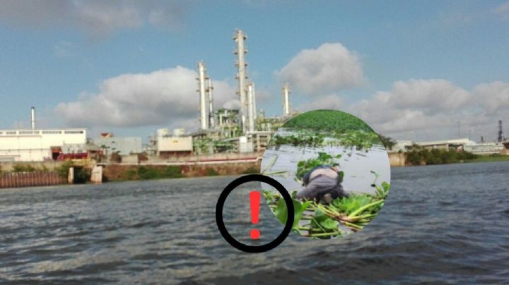 Encuentran persona sin vida flotando en el río Coatzacoalcos, en Minatitlán