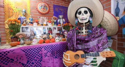 Día de Muertos: Los 3 mercados de la CDMX para comprar todo lo que necesitas para tu ofrenda