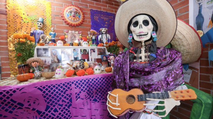 Día de Muertos: Los 3 mercados de la CDMX para comprar todo lo que necesitas para tu ofrenda
