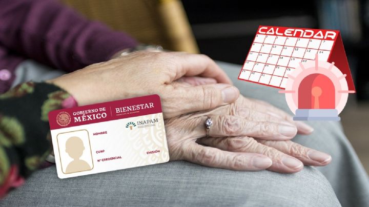 INAPAM, ¿obligará a estudiar a adultos mayores?