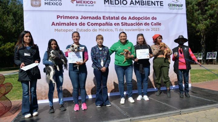 Dan segunda oportunidad a perros y gatos  de la calles en Metepec