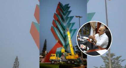 ¿Cambiarán el color a la Araucaria gigante de Xalapa? Esto dijo el alcalde