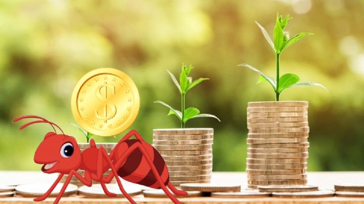 En este 2024 ahora sí va el ahorro: ¿Cómo evitar los gastos hormiga?