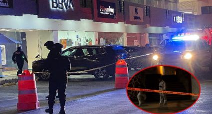 "El Pofe”: asesinan a operador financiero de Los Zetas en Puebla