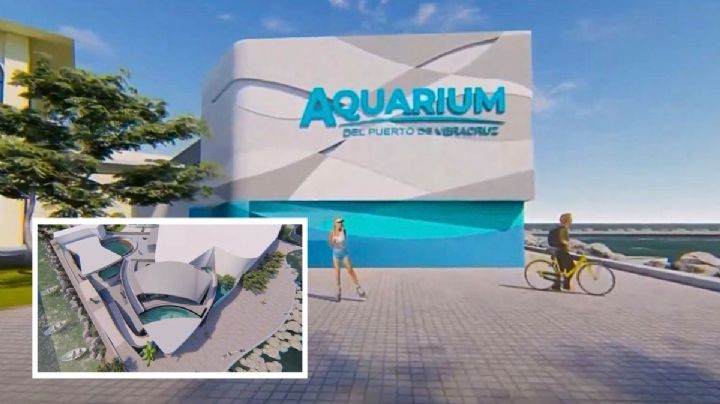 Así lucirá el Aquarium de Veracruz con nuevas instalaciones