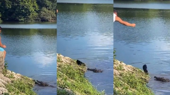 VIDEO| Agarra a “chanclazos” a cocodrilo en Tabasco; lo tunden en redes