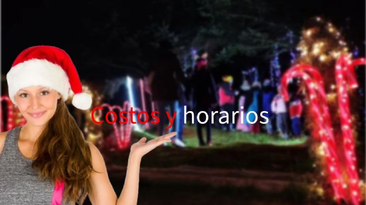 La Navidad se asoma, anuncian el Bosque Iluminado en Pachuca; así será