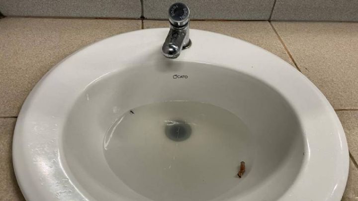 Baños insalubres en el estadio León: no hay agua y están tapados