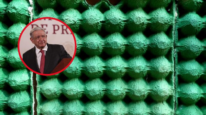 Cajas de huevo: la máscara financiera de AMLO, según Elena Chávez en "El Gran Corruptor"