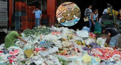 ¿Cuánto se desperdicia de alimentos en México?