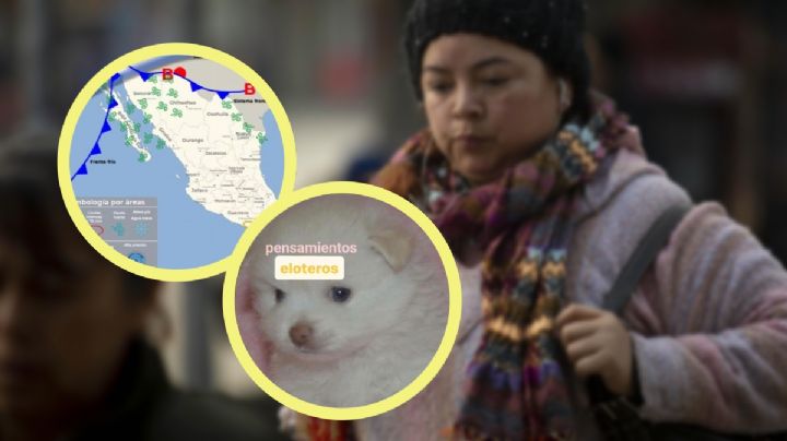 Frente frío 10 y 11: ¿Cómo te afectarán las bajas temperaturas? Los memes responden