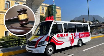 Ayuntamiento de Orizaba tramita amparo tras detención de autobuses Gallo