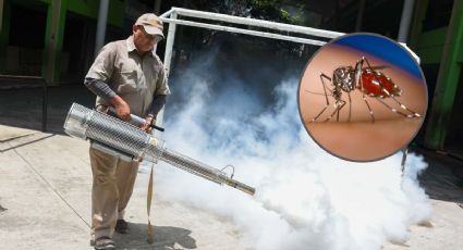 Con limpieza de canales, así vecinos del Floresta se protegen del dengue