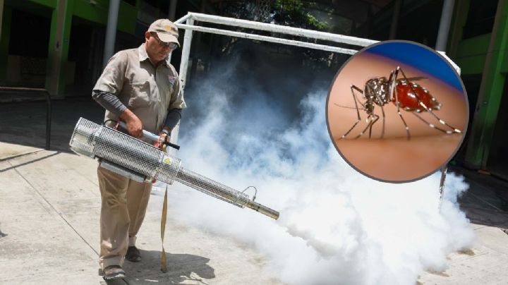 Con limpieza de canales, así vecinos del Floresta se protegen del dengue