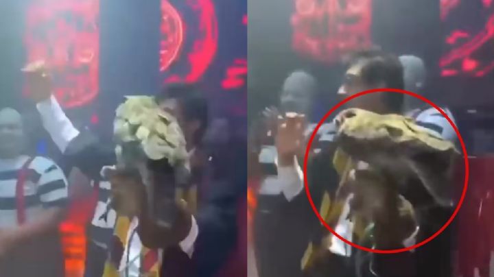 VIDEO | Se disfraza de Harry Potter y lleva un búho al antro; lo tunden en redes sociales