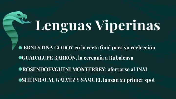 Lenguas Viperinas