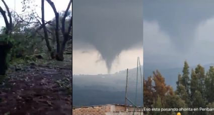 VIDEO: Tornado destruye huertas de aguacate en Michoacán