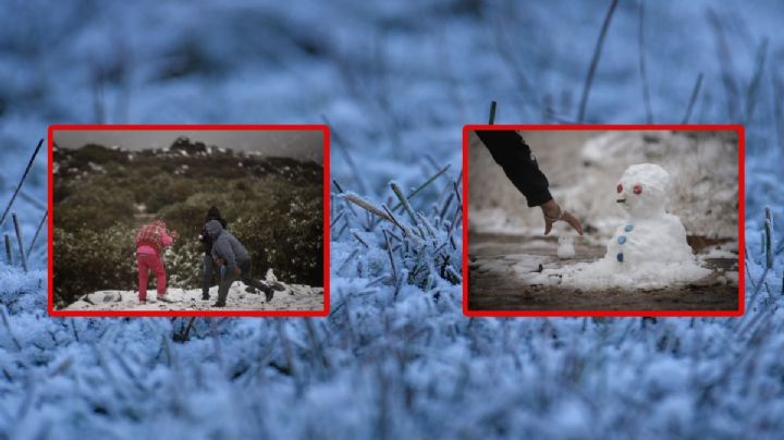 Tormenta invernal baja a -10 °C la temperatura: Los estados de México más afectados son...