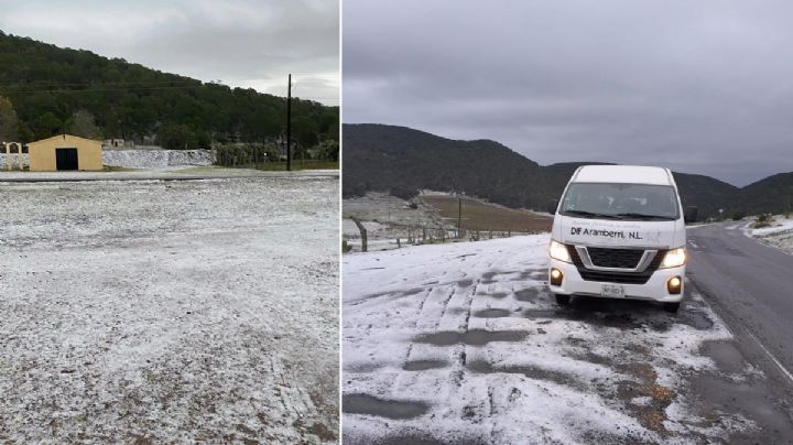 VIDEO | Llegan aguanieve y mucho frío a Nuevo León; tome precauciones