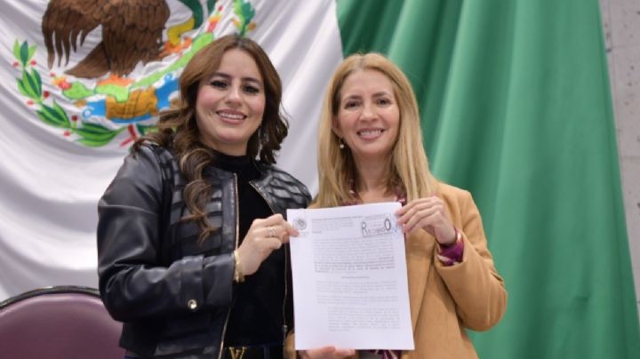 Diputada de Veracruz propone fortalecer ley de pensiones alimenticias