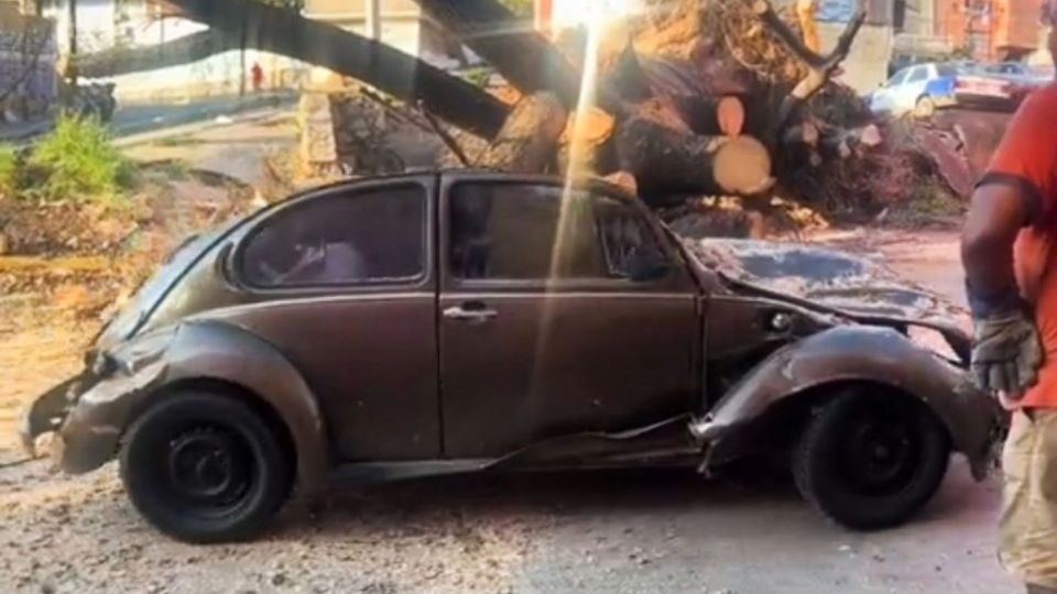 Este vochito fue encontrado en el fondo del follaje y escombros; tenía el parabrisas estrellado, el cofre aplastado por la mitad y la pintura oxidada y, pese a su visible deterioro, este carro encendió su motor y avanzó