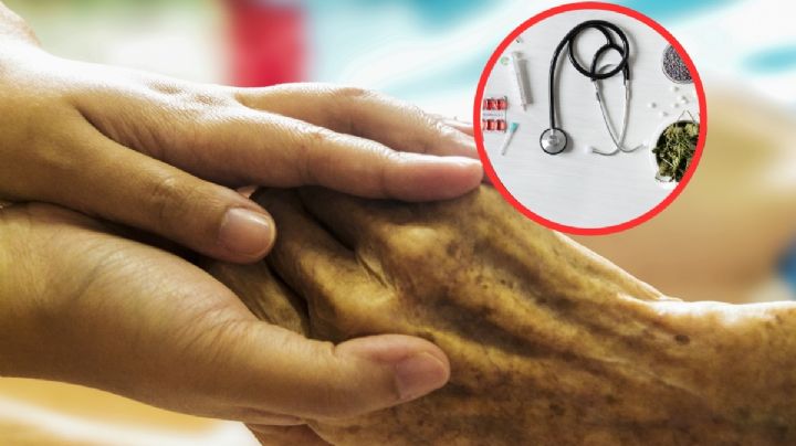 Aumentará en 25% la demanda de medicamentos en años próximos por envejecimiento poblacional