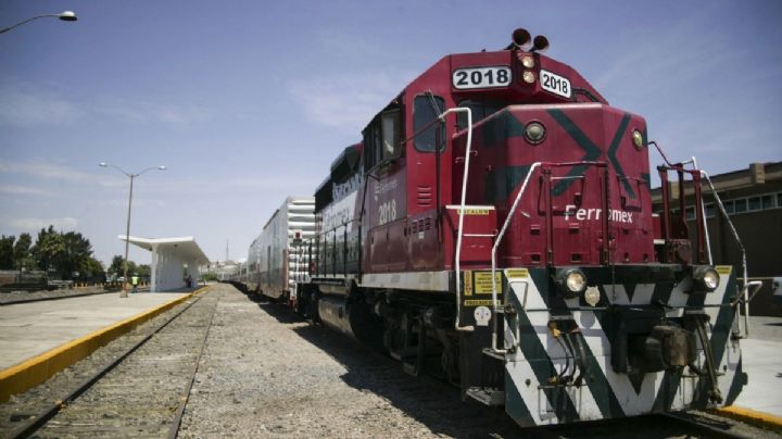“Tren Maya” de Sonora pondría en jaque 500 especies y pobladores de la sierra