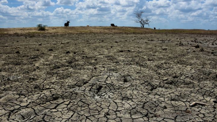 Con 40 millones de pesos combatirán sequía en Guanajuato capital