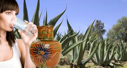 Este fin de semana hay Festival del Pulque en Hidalgo, aquí los detalles