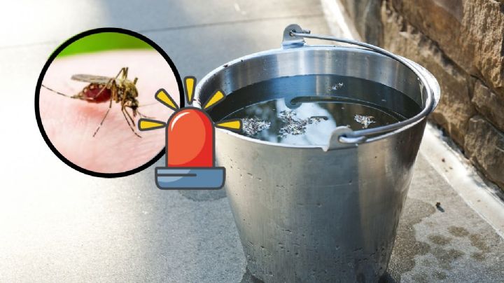 ¿Qué está pasando con el dengue en el estado de Veracruz?