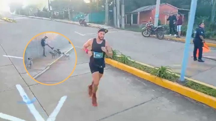 Perros corretean y acorralan a maratonista durante carrera en Veracruz