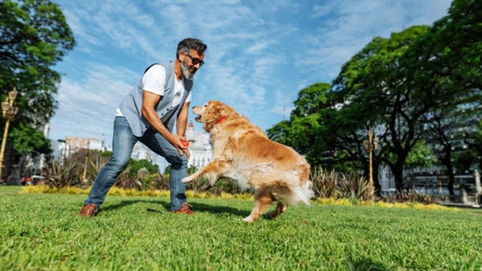 Por esta razón, Barcelona pondrá multas por pasear a tu perro