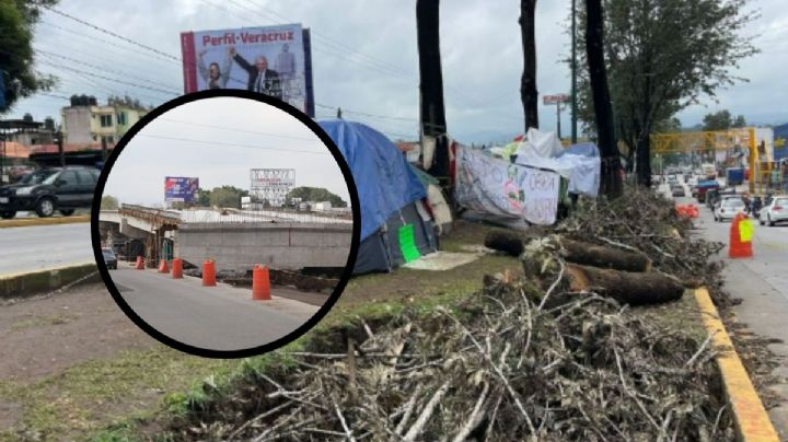 ¿Cómo se llamará el polémico puente vehicular de Xalapa? Esto dijo Cuiltáhuac