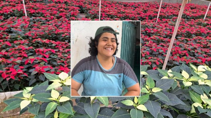 Joselyn creció apoyando la siembra y venta de flor de Nochebuena en La Estanzuela