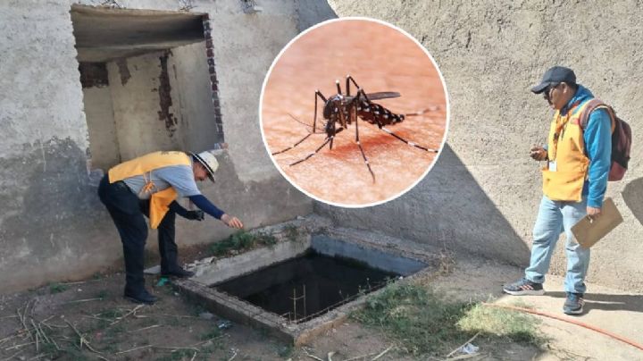 Confirman más de 500 casos de dengue en Guanajuato