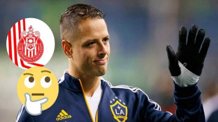 ¿El Chicharito a Chivas? Gignac revela la bomba y Hernández responde