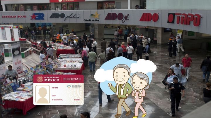 INAPAM: Los 3 autobuses que harán descuento de 50% a adultos mayores en vacaciones