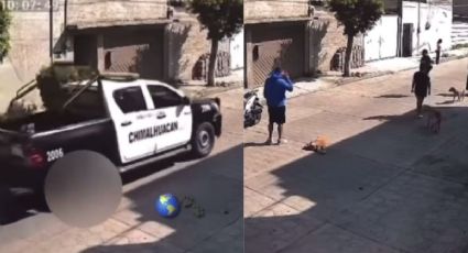 Patrulla atropella a perrito y se da a la fuga en Chimalhuacán