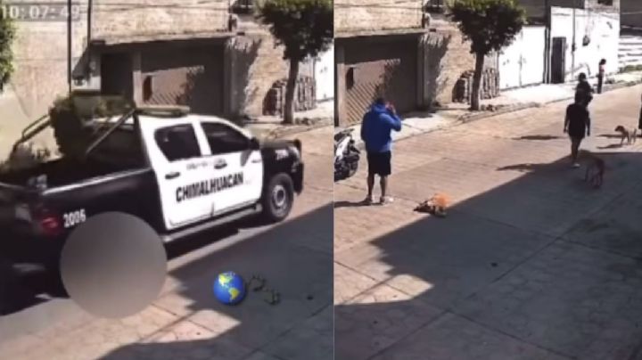 Patrulla atropella a perrito y se da a la fuga en Chimalhuacán