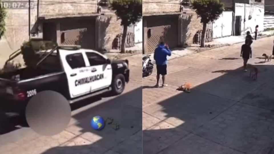 El perrito fue atropellado por una camioneta de la policía municipal de Chimalhuacán, en el Estado de México