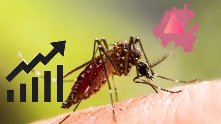 Dengue en Hidalgo sube a casi 2,000 casos registrados en el año 2024