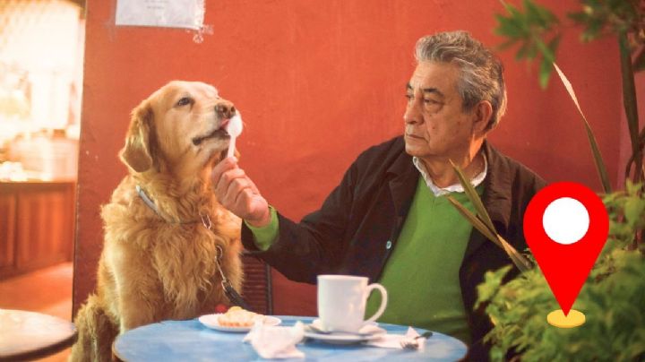 A estos locales petfriendly de Xalapa y Coatepec puedes ir con tu pasaporte de café