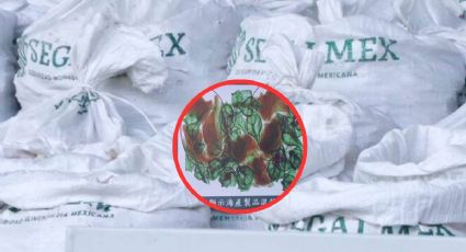 Metanfetaminas en costales de Segalmex, decomisadas en Hong Kong