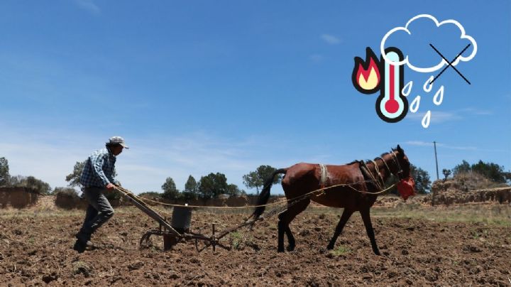 Estos 21 municipios de Veracruz reportan sequía extrema