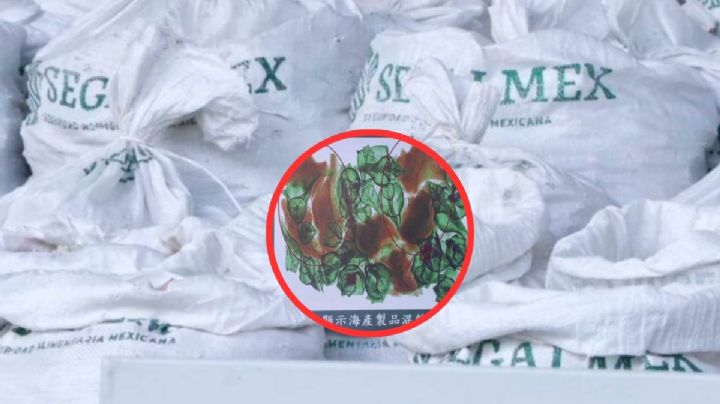 Metanfetaminas en costales de Segalmex, decomisadas en Hong Kong