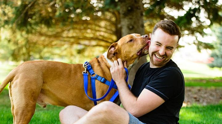 Las multas por no cuidar a tu perro de manera responsable en la CDMX