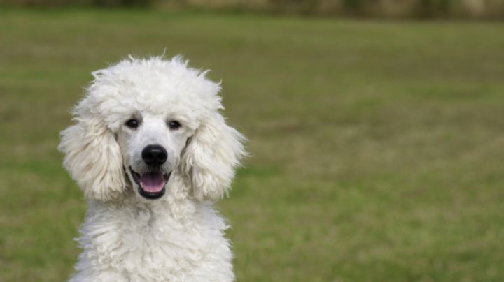 Convivencias vecinales