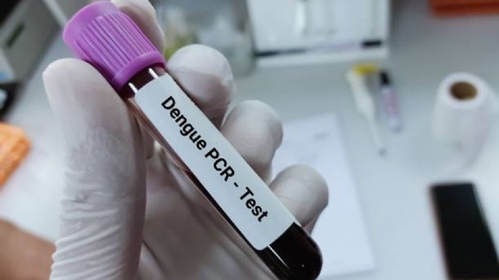 Dengue al alza en Jalisco: 78 casos nuevos en una semana