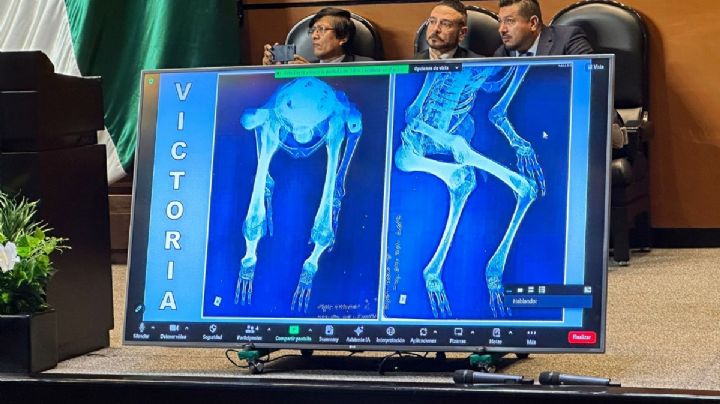 Jaime Maussan presenta “dos especies nuevas” de humanoides en San Lázaro